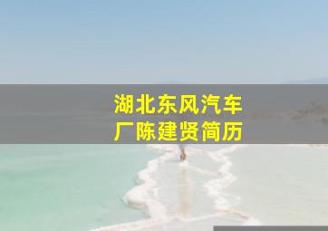 湖北东风汽车厂陈建贤简历