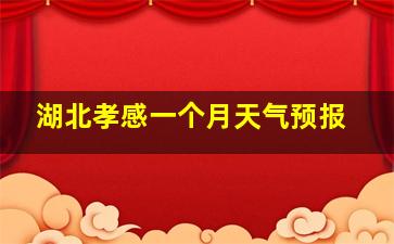 湖北孝感一个月天气预报