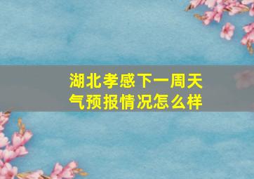 湖北孝感下一周天气预报情况怎么样