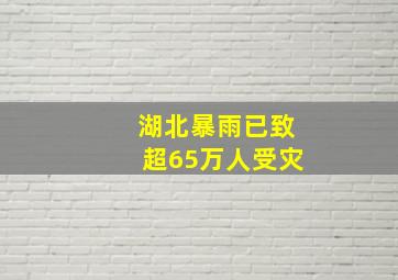 湖北暴雨已致超65万人受灾