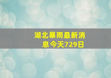 湖北暴雨最新消息今天729日