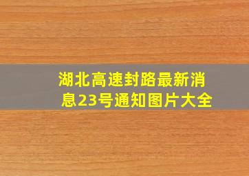 湖北高速封路最新消息23号通知图片大全