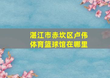 湛江市赤坎区卢伟体育篮球馆在哪里