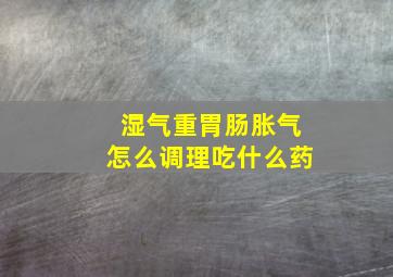 湿气重胃肠胀气怎么调理吃什么药