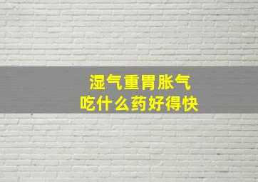 湿气重胃胀气吃什么药好得快