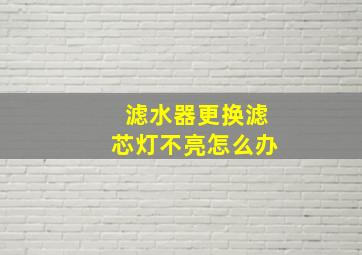 滤水器更换滤芯灯不亮怎么办