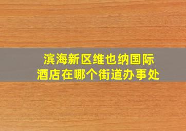 滨海新区维也纳国际酒店在哪个街道办事处