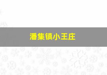 潘集镇小王庄