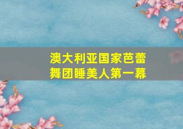 澳大利亚国家芭蕾舞团睡美人第一幕