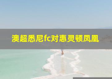 澳超悉尼fc对惠灵顿凤凰