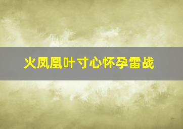 火凤凰叶寸心怀孕雷战