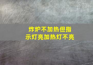 炸炉不加热但指示灯亮加热灯不亮