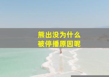 熊出没为什么被停播原因呢