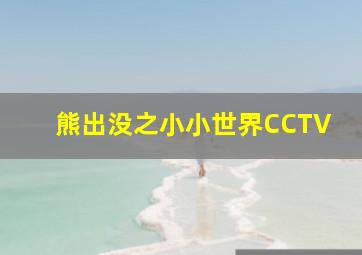 熊出没之小小世界CCTV