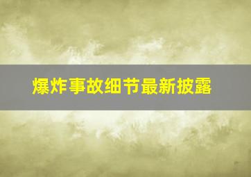 爆炸事故细节最新披露