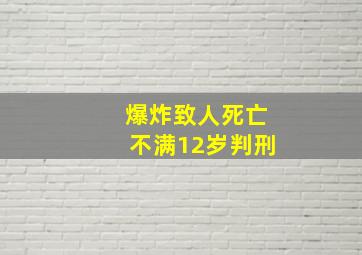 爆炸致人死亡不满12岁判刑