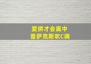 爱拼才会赢中音萨克斯吹C调