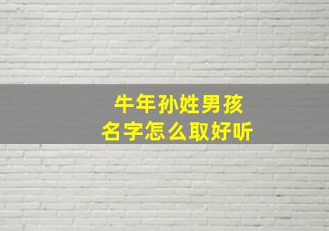 牛年孙姓男孩名字怎么取好听