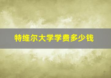 特维尔大学学费多少钱