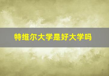 特维尔大学是好大学吗