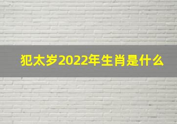 犯太岁2022年生肖是什么