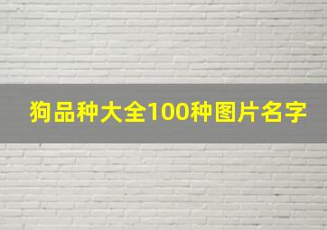 狗品种大全100种图片名字