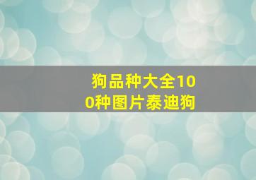 狗品种大全100种图片泰迪狗