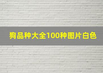 狗品种大全100种图片白色