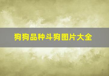 狗狗品种斗狗图片大全