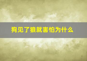 狗见了狼就害怕为什么