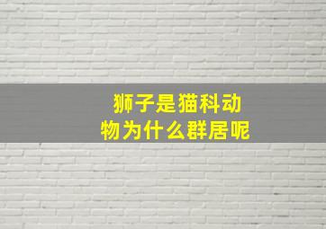 狮子是猫科动物为什么群居呢