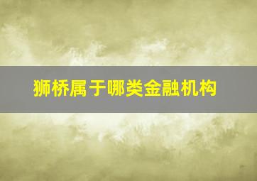 狮桥属于哪类金融机构