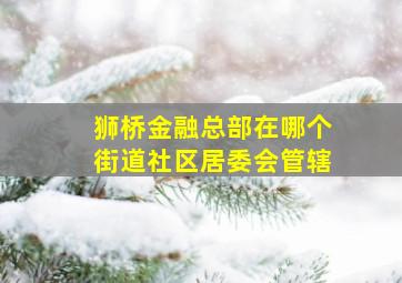 狮桥金融总部在哪个街道社区居委会管辖