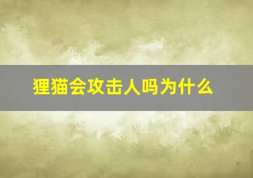 狸猫会攻击人吗为什么