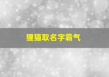 狸猫取名字霸气