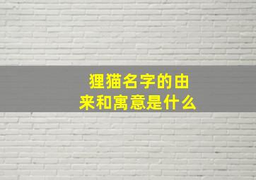 狸猫名字的由来和寓意是什么