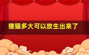 狸猫多大可以放生出来了