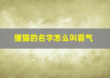 狸猫的名字怎么叫霸气