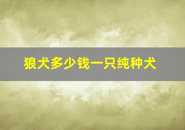 狼犬多少钱一只纯种犬