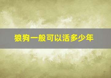 狼狗一般可以活多少年