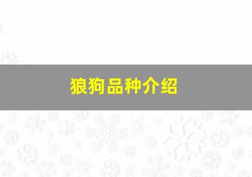 狼狗品种介绍