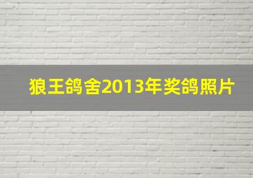 狼王鸽舍2013年奖鸽照片