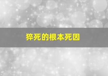 猝死的根本死因