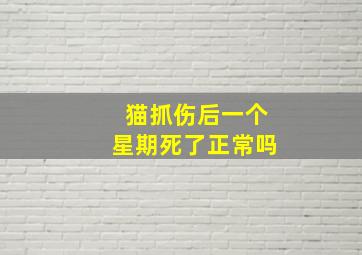 猫抓伤后一个星期死了正常吗