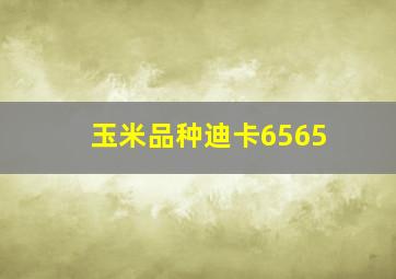 玉米品种迪卡6565