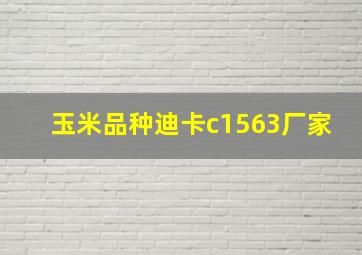 玉米品种迪卡c1563厂家