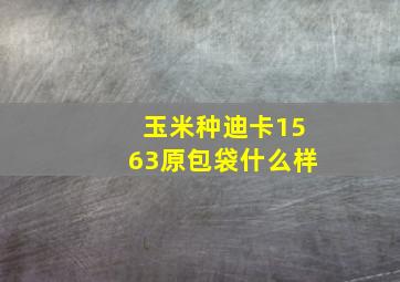 玉米种迪卡1563原包袋什么样