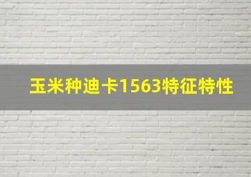 玉米种迪卡1563特征特性