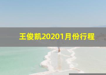 王俊凯20201月份行程