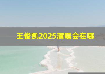 王俊凯2025演唱会在哪